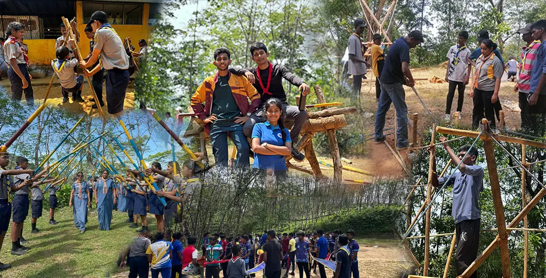 Scout 3